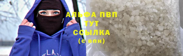 гидра Алексин