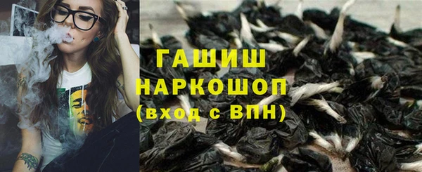 гидра Алексин