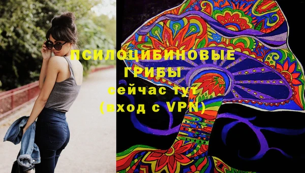 гидра Алексин